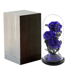 Rose Glass Cover Valentine's Day Christmas Gift