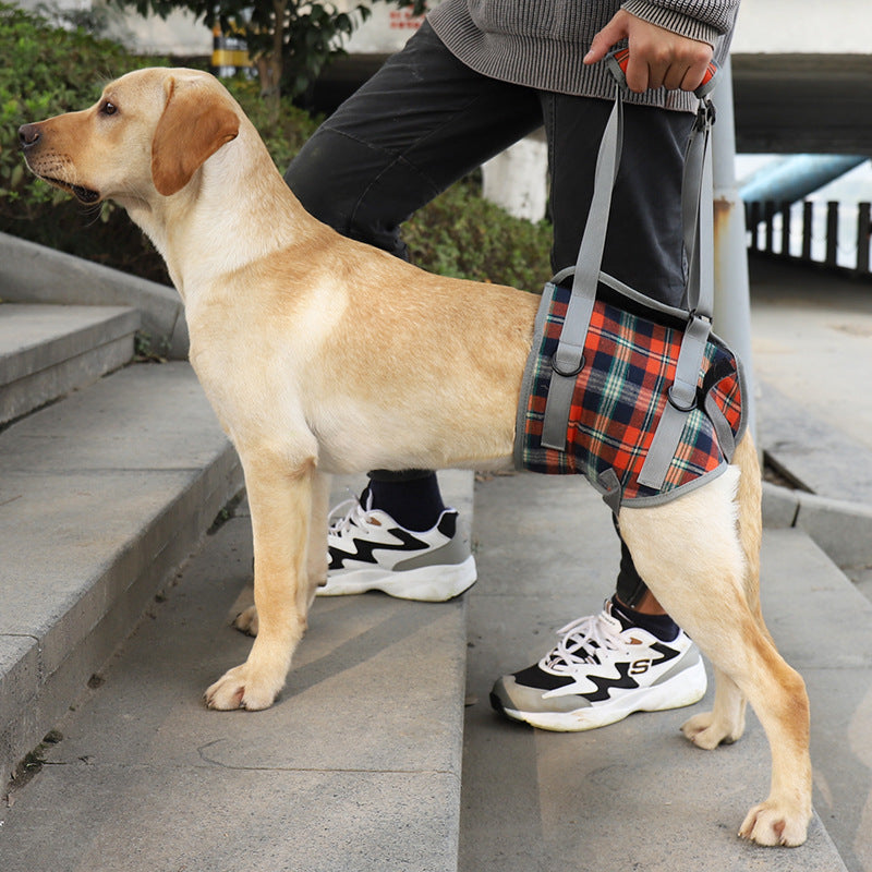 Fashion Personality High Aged Dog Accessory Belt - One Red Hill