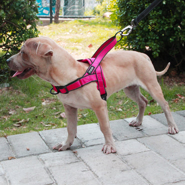 Dog Harness Leash Rope Set Adjustable Dogs Chest Back Traction Rope Puppy Pet Durable Outdoor Walking Rope Chain Belt - One Red Hill
