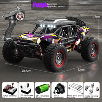 Remote Control Brushless High-speed Off-road Vehicle Model - One Red Hill