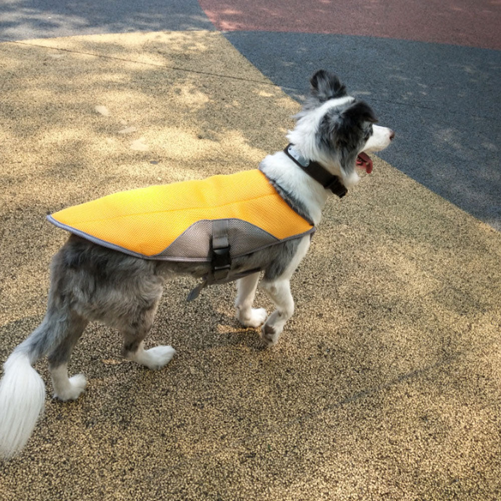 Summer dog cooling vest - One Red Hill