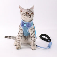 Pet chest and back leash