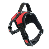 Pet Supplies Medium and Large Dog Dog Collar - One Red Hill
