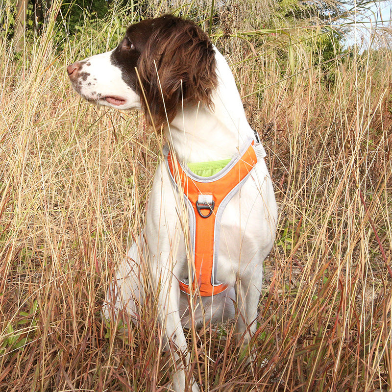Chest Back Dog Breast Strap Adjustable Outdoor Trekking Big Dog Chest Back Leash