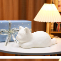 Valentine's Day Gift For Girlfriend And Friend's Birthday - One Red Hill