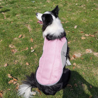 Summer dog cooling vest - One Red Hill