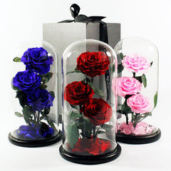 Rose Glass Cover Valentine's Day Christmas Gift
