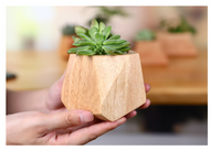Simple Wooden Flowerpot Creative Home Garden - One Red Hill