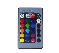Dinosaur series 3D night light led remote control colorful touch light - One Red Hill