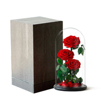 Rose Glass Cover Valentine's Day Christmas Gift