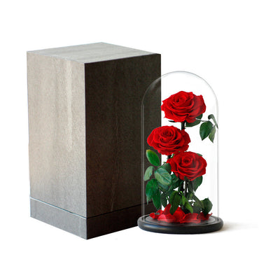 Rose Glass Cover Valentine's Day Christmas Gift