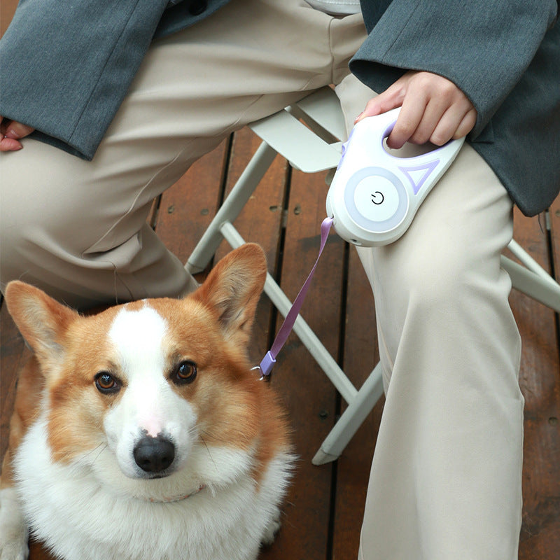 Dog Leash Retractable Leash And Dog Collar Spotlight Automatic Pet Dog Cat Traction Rope For Small Medium Dogs Pet Product - One Red Hill