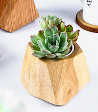 Simple Wooden Flowerpot Creative Home Garden - One Red Hill