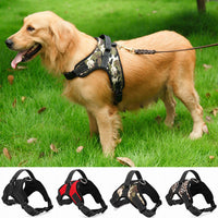 Pet Supplies Medium and Large Dog Dog Collar - One Red Hill