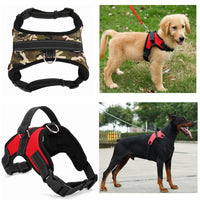 Pet Supplies Medium and Large Dog Dog Collar - One Red Hill