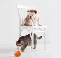 Pet New Cat Wicked Ball Toy Intelligent Ball USB Cat Toys Self Rotating Ball Automatic Rotation Ball - One Red Hill