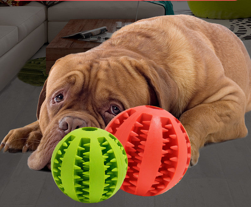 Pet Dog Toy Bite Resistant Molar Stick Puppy Ball - One Red Hill