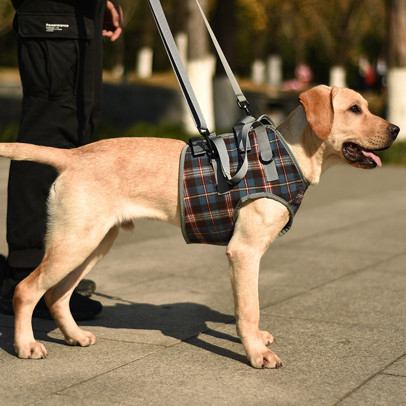 Fashion Personality High Aged Dog Accessory Belt - One Red Hill