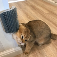 -Grooming Brush Pet Wall Rubbing Device